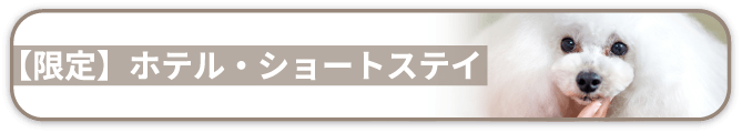 【限定】ホテル・ショートステイ