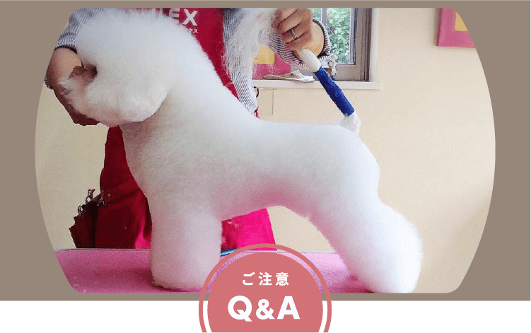 ご注意 Q&A